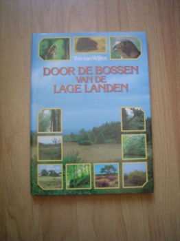 Door de bossen van de lage landen door Ton van Wijlen - 1