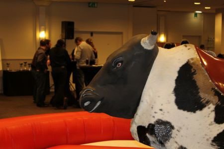 RODEOSTIER?SPRINGKASTELEN EN CATERING MCJ - 7