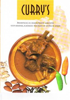 Curry's, aromatische en kruidig-pikante gerechten - 1