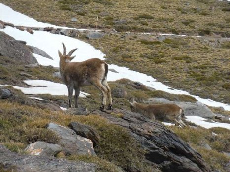 vakantiehuizen in de natuur, spanje - 1