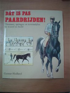 Dat is pas paardrijden door Gunnar Hedlund