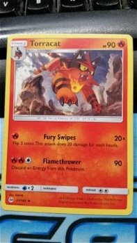 Torracat 25/149 Sun&Moon - 1