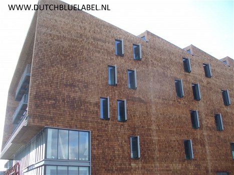 houten shingles en leien, red cedar, dakhout, shingle - 4