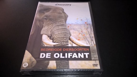 Discovery channel de olifant dvd geseald - nr. 1