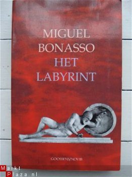 Miguel Bonass: Het Labyrint : politieke roman - 1