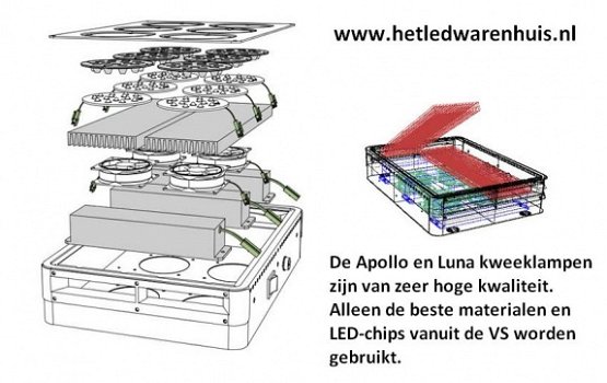 LED Groeilampen Apollo 4 - 3