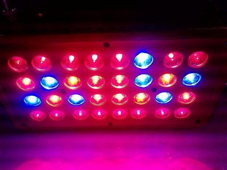 LED Groeilamp Apollo 2 - 3