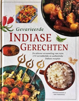 Gevarieerde Indiase Gerechten - 0