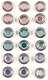 SALE NIEUW Bling Rhinestone Brads Pastel van SEI - 1 - Thumbnail