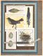 SALE TIM HOLTZ cling stempel Nature Walk Bird. - 2 - Thumbnail