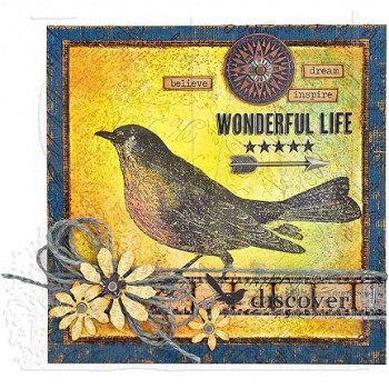 SALE TIM HOLTZ cling stempel Nature Walk Bird. - 3