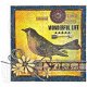 SALE TIM HOLTZ cling stempel Nature Walk Bird. - 3 - Thumbnail