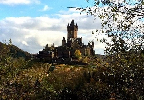 2 Eifel-Moezel-Vakantiewoningen mit Hond - 1