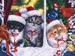 Bits and Pieces - Christmas Cats in the Window - 1000 Stukjes - 1 - Thumbnail