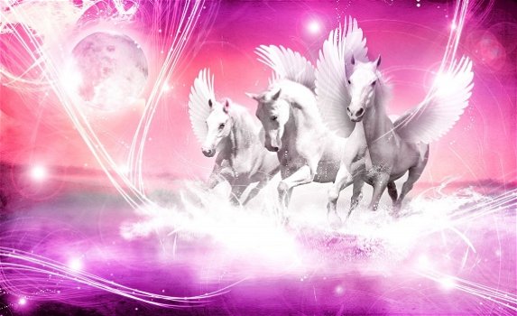 Paarden fotobehang L Pegasus roze Paarden behang *Muurdeco4kids - 1