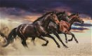 Paarden fotobehang L Pegasus roze Paarden behang *Muurdeco4kids - 8 - Thumbnail