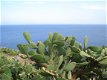 Vakantie aan de kust in 't zonnige zuid-Italie, APULIE/ PUGLIA - 0 - Thumbnail