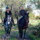 Paardrijvakanties in Spanje - 5 - Thumbnail