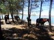 Horseriding Holidays - 1 - Thumbnail