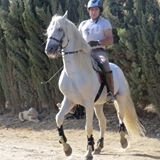 Horseriding Holidays - 4