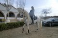 Horseriding Holidays - 5 - Thumbnail