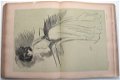 Le Frou-Frou 1900-1 Nr 1-50 Belle Epoque Art Nouveau Picasso - 2 - Thumbnail