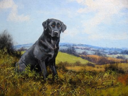 Hond in Engels landschap - Trevor Parkin - 2