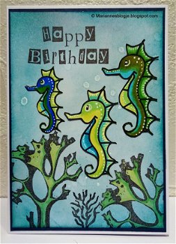 Verjaardagskaart 24: zeepaardjes - 1