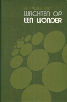 JAN VEULEMANS**WACHTEN OP EEN WONDER** RODE TEXTUUR LINNEN** - 1