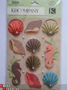 K&Company grand adhesion sea glass shells