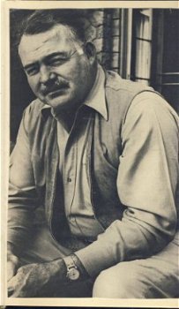 ERNEST HEMINGWAY**AFSCHEID VAN DE WAPENEN**TEXTUUR LINNEN - 3