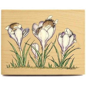 SALE GROTE RETIRED stempel Sleeping In The Crocus van House Mouse - 1