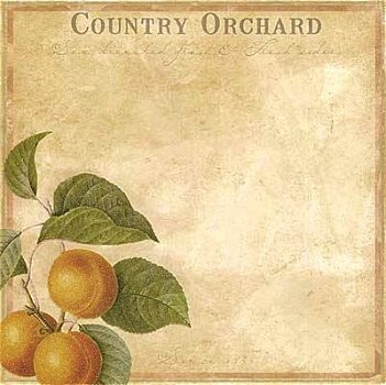 SALE NIEUW vel scrappapier Botanical 24 Country Orchard van DCWV - 1