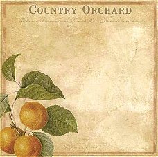 SALE NIEUW vel scrappapier Botanical 24 Country Orchard van DCWV