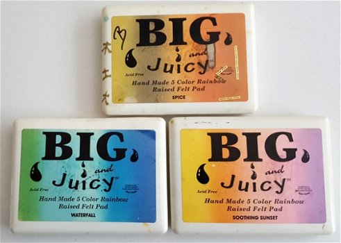 SALE Set van 3 GROTE Big Juicy Ink Pads Rainbow Colors van RANGER - 1