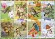 Falcon de Luxe - Seasonal Garden Birds - 1000 Stukjes - 1 - Thumbnail