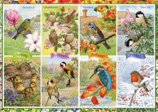 Falcon de Luxe - Seasonal Garden Birds - 1000 Stukjes
