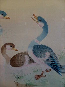 Chinese eenden - super ingelijst 95x110 - 5