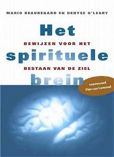 Het spirituele brein