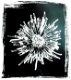 SALE NIEUW Unmounted stempel Addison Flower Border van Paperbag Studios - 1 - Thumbnail