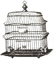 SALE Unmounted stempel Bird's Nest Bird Cage van Oxford Impressions - 1