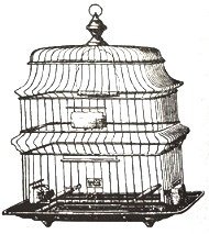 SALE Unmounted stempel Bird's Nest Bird Cage van Oxford Impressions. - 1