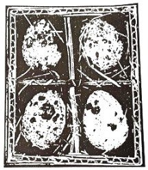 SALE NIEUW GROTE unmounted stempel Bird's Nest Egg Collage van Oxford Impressions.