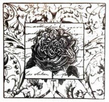 SALE NIEUW GROTE cling stempel Floral Collages Rose Script van IBFS - 1