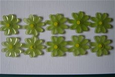 Pakje van 10 plastic bloemetjes [groen