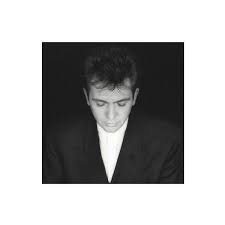 Peter Gabriel -Shaking The Tree CD - 1