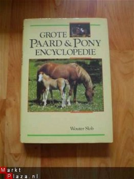 Grote paard & pony encyclopedie door Wouter Slob - 1