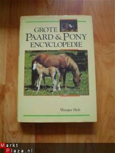 Grote paard & pony encyclopedie door Wouter Slob