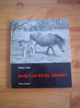 Pony's en kleine paarden door Wouter Slob - 1