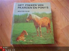 Het fokken van paarden en pony's door Wouter Slob